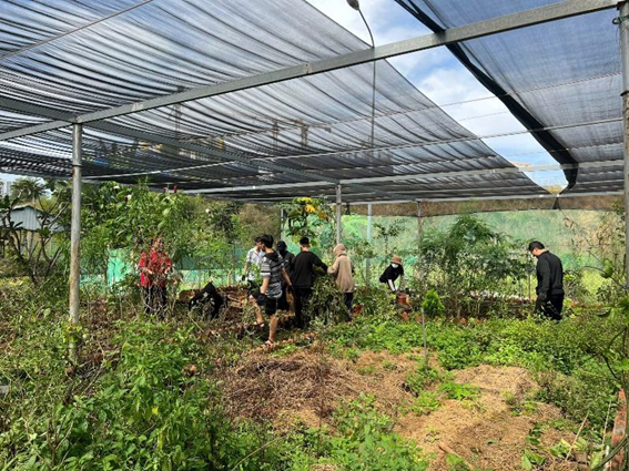 6.Hoạt động cùng sinh viên: Ngày Chủ nhật Xanh làm sạch Vườn Dược Liệu, tháng 1/2025